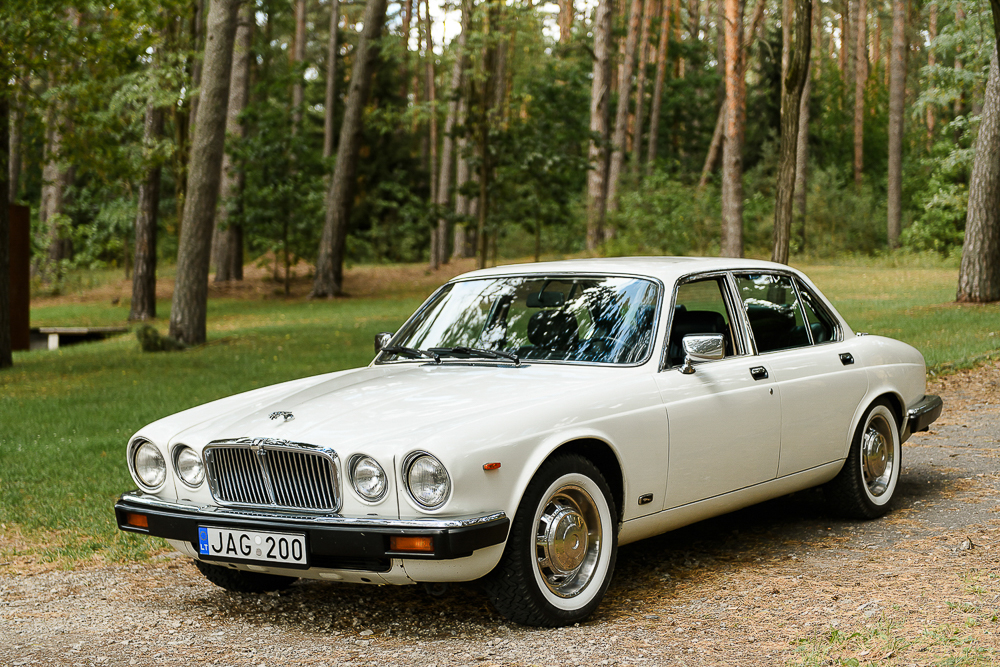 jaguarnuoma-36